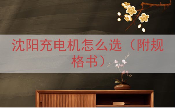 沈阳充电机怎么选（附规格书）